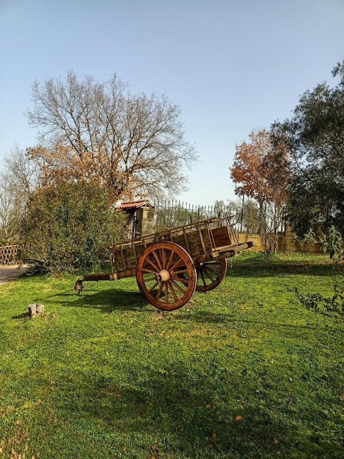 비토르키아노 Rifugio Di Campagna 빌라 외부 사진