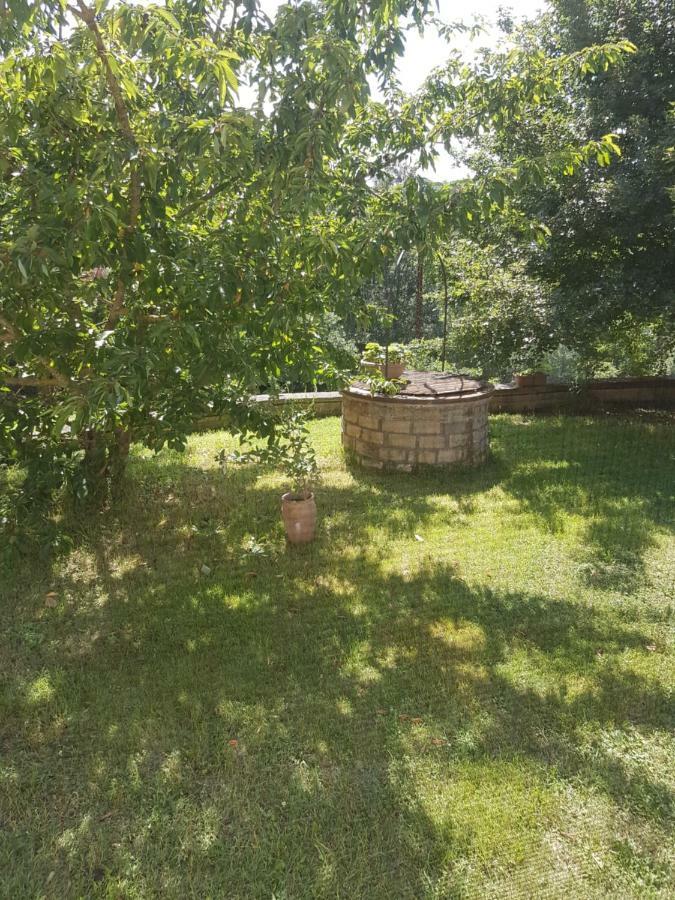 비토르키아노 Rifugio Di Campagna 빌라 외부 사진